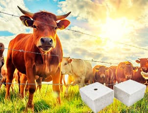 Соль кормовая брикетированная